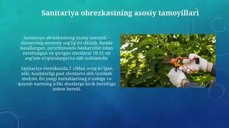 Sanitariya obrezkasi texnologiyasi 4