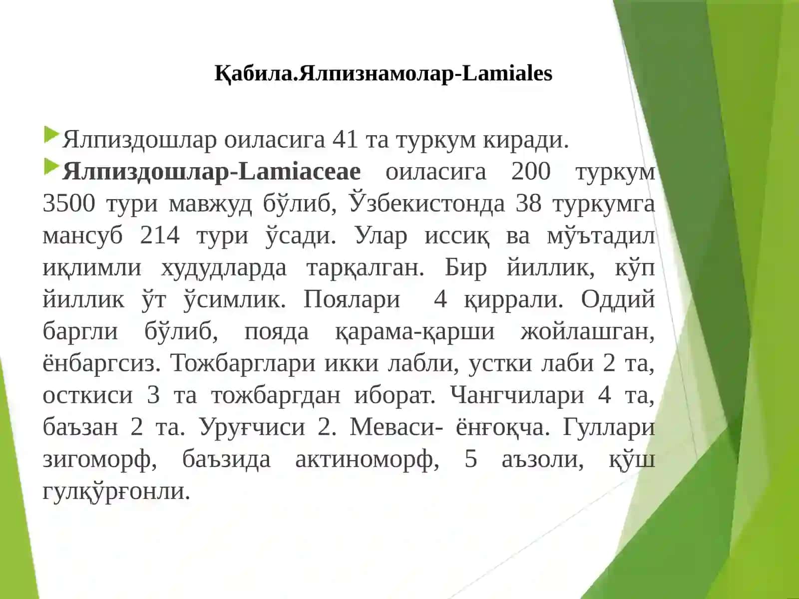 Ялпизнамолар-Lamiales қабиласи 4