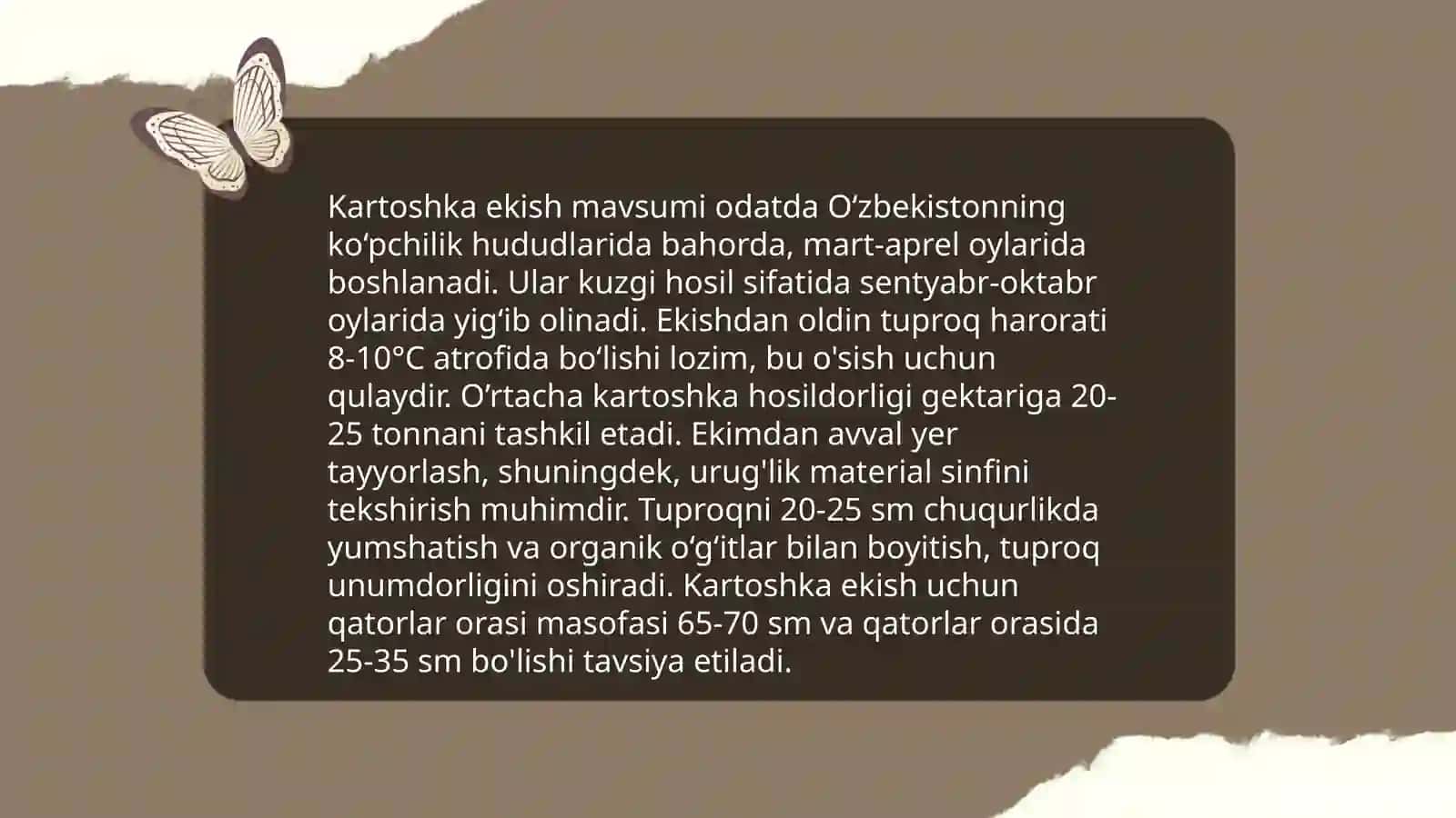 Kartoshka yetishtirish 4