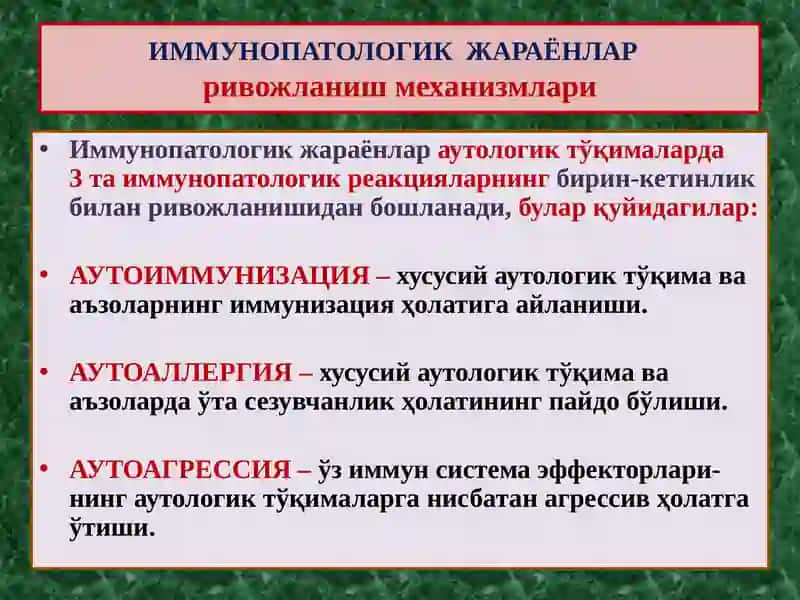 ИММУНОПАТОЛОГИК ЖАРАЁНЛАР. АЛЛЕРГИК ВА АУТОИММУН КАСАЛЛИКЛАР. ИММУН ТАНҚИСЛИГИ” 4