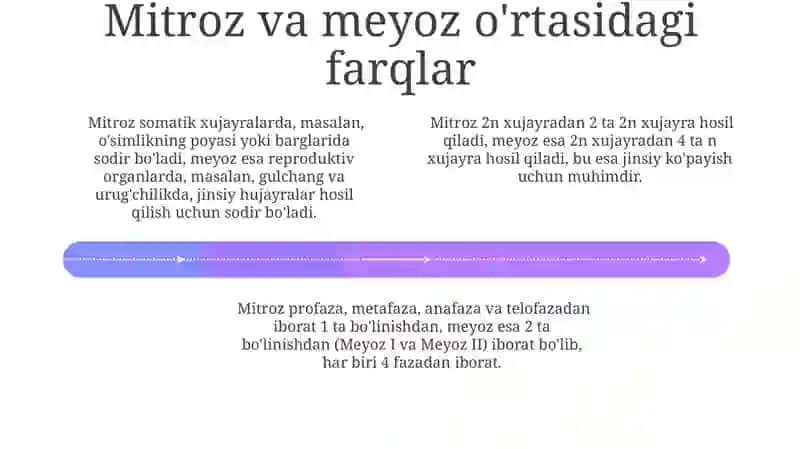 O'simliklarda mitozning ahamiyati 4