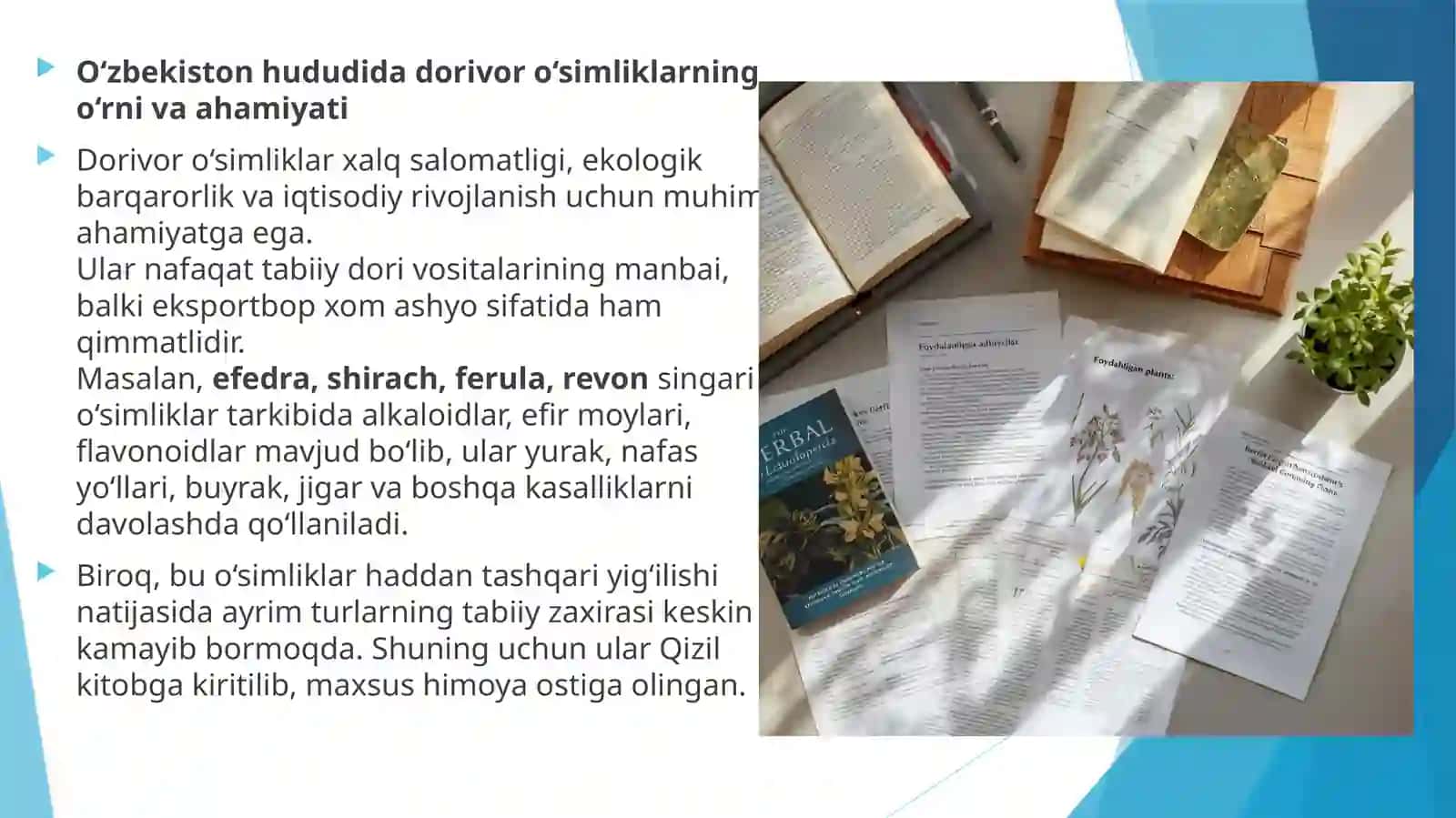 O'zbekiston Respublikasining qizil kitobi ga kiritilgan dorivoro'simliklar 4