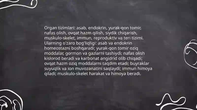 Ichki organlarining umumiy tuzilishi haqida 4