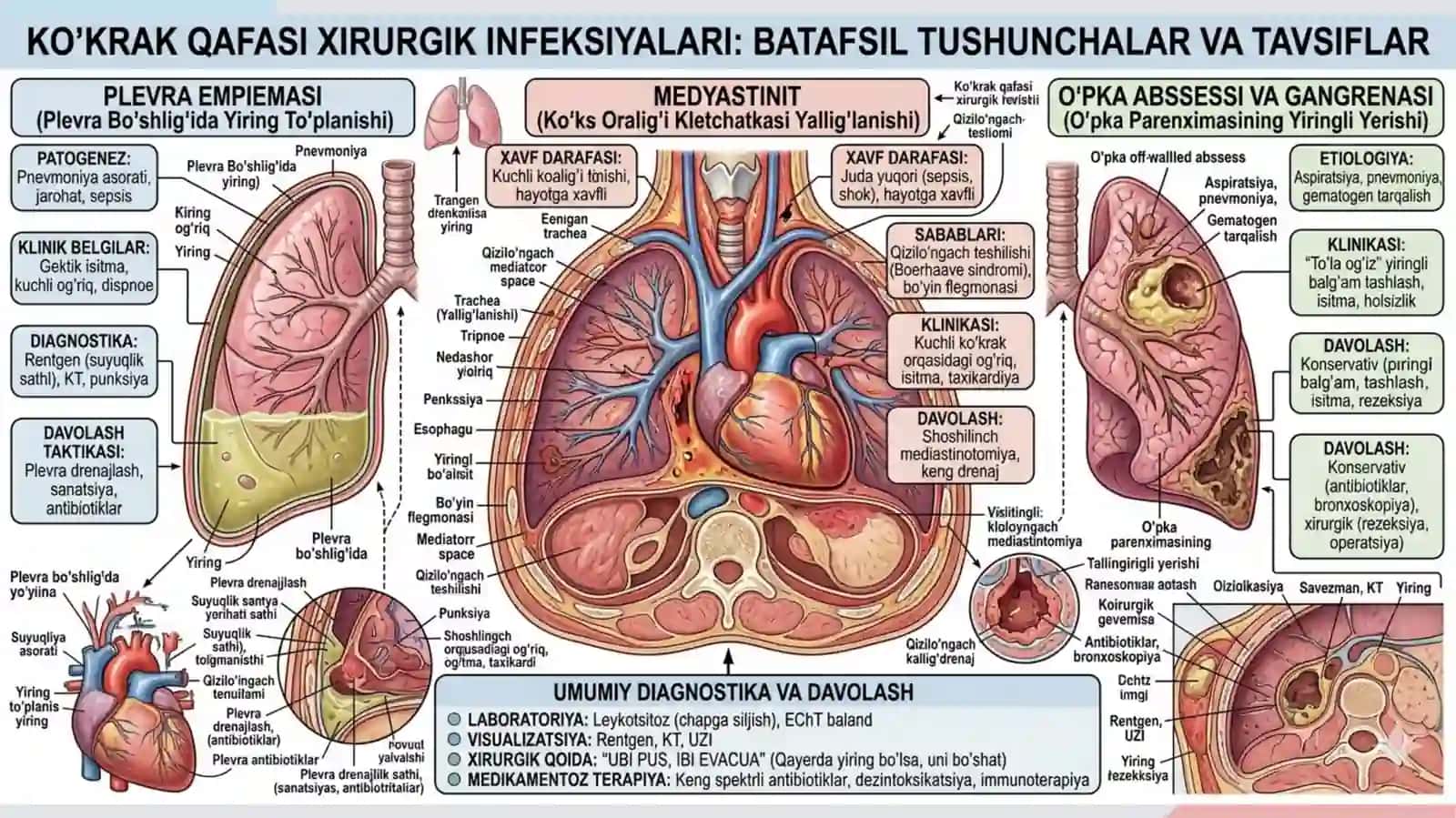 Ko'krak qafasi va qorin bo'shlig'i xirurgik infeksiyasi 4