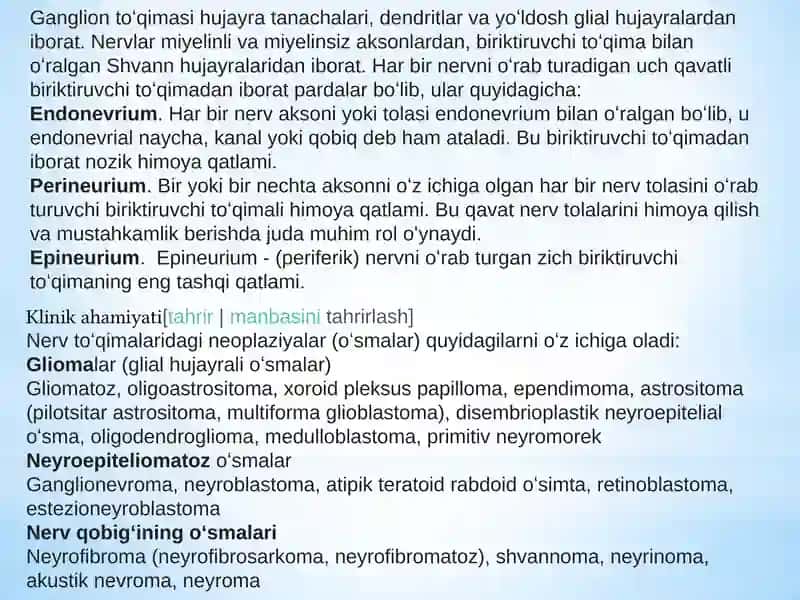 Berkinova Dildoraning Tibbiy gistalogiya fanidan Prezentatsiyasi 4