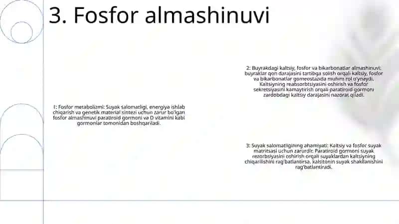 Buyrakda Kalsiy, Fosfor Va Bikarbonatlar Almashinuvi 4