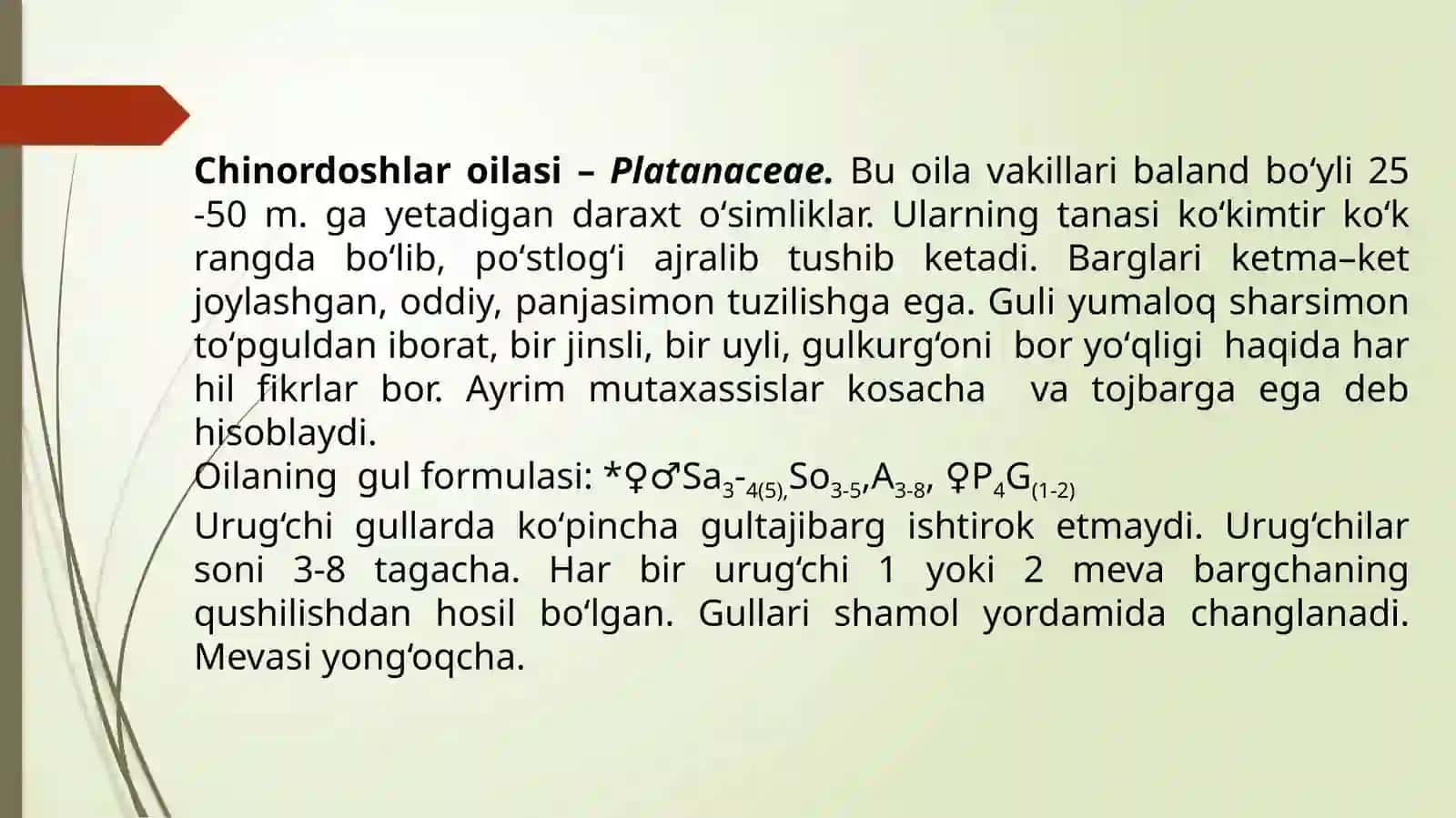 Ikki urug‘pallali o‘simliklar sinfi 4