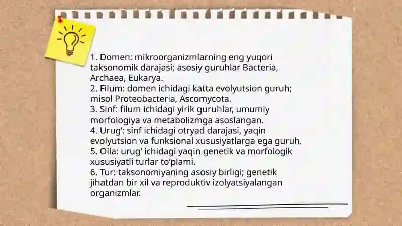 Mikroorganizmlar klassifikatsiyasi 4