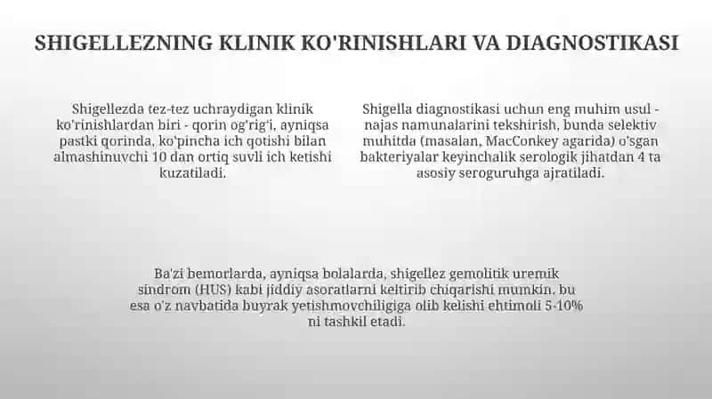 Shigellez: Epidemiologiya va Profilaktika 4