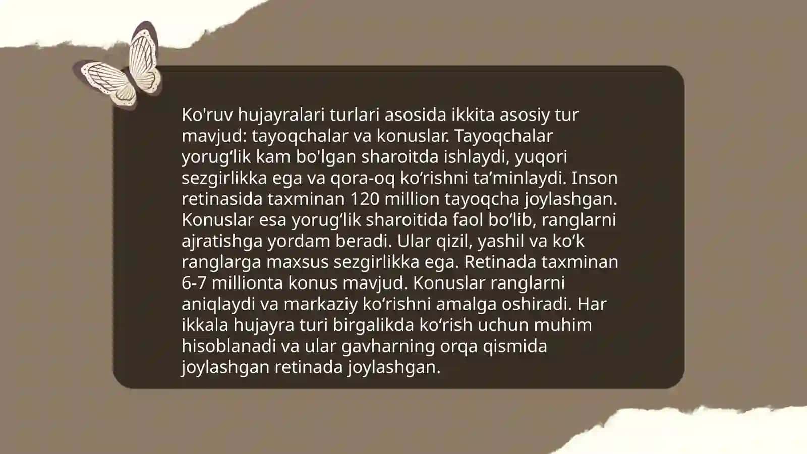 Fotoretsepsiyaning morfologik asoslari 4