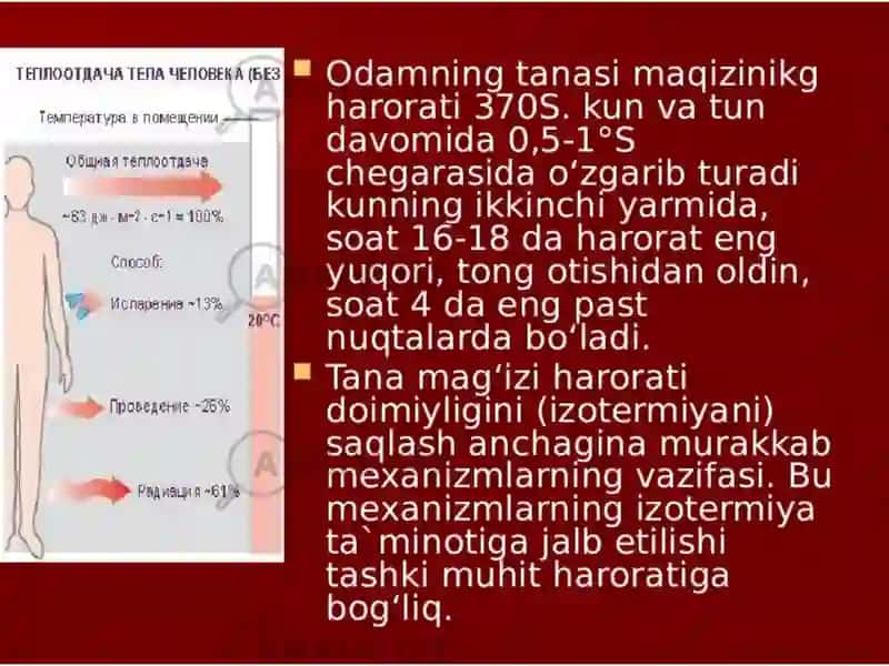 Issiqlik almashinuvi fiziologiyasi 4