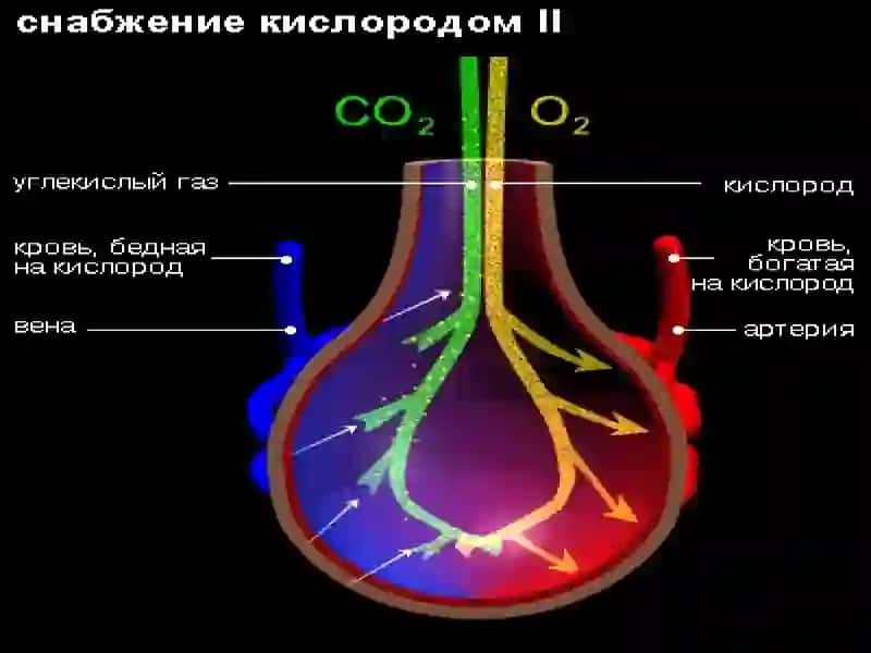 Астма 4
