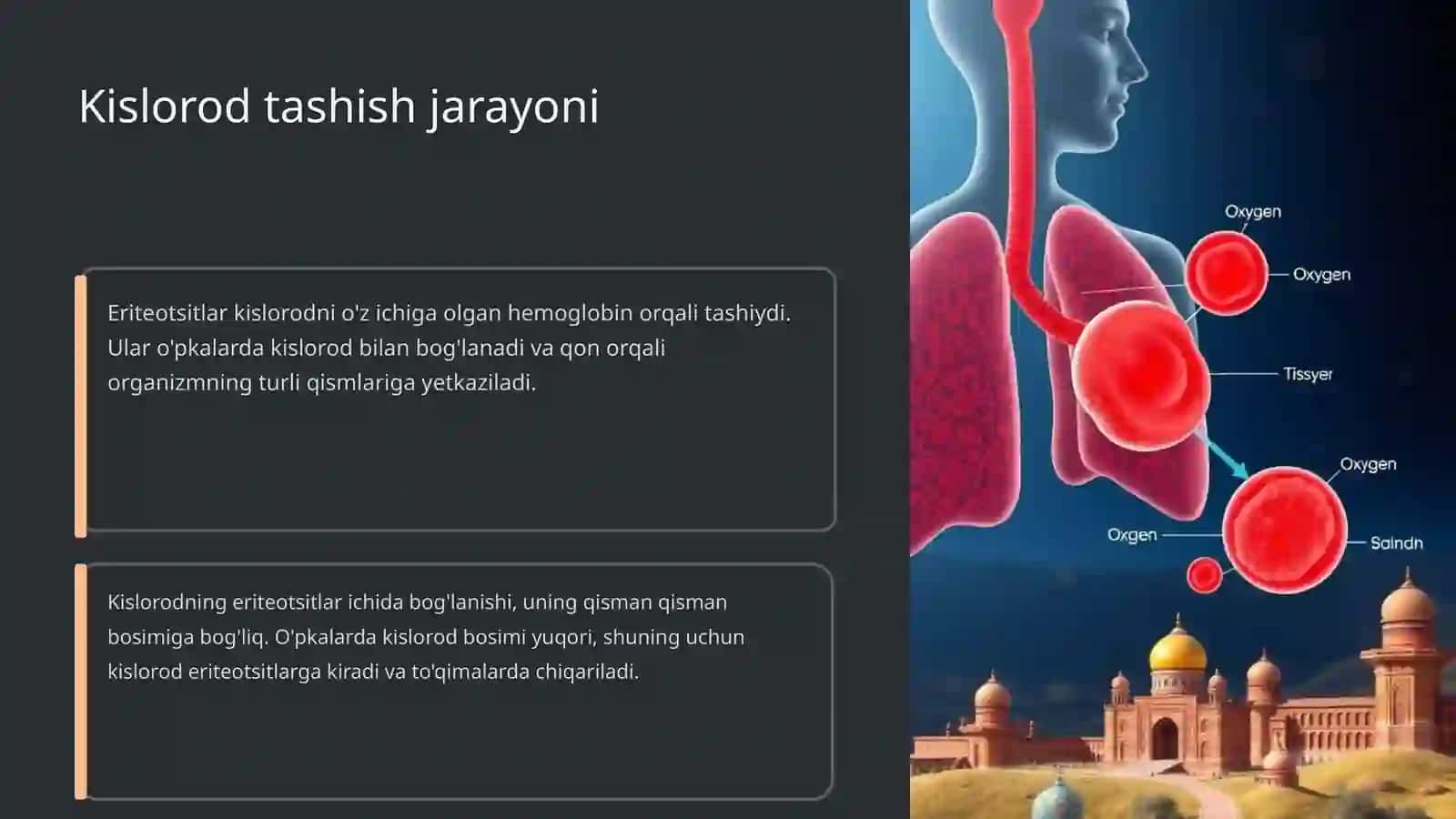Eriteotsitlar turlari funksiyalari 4