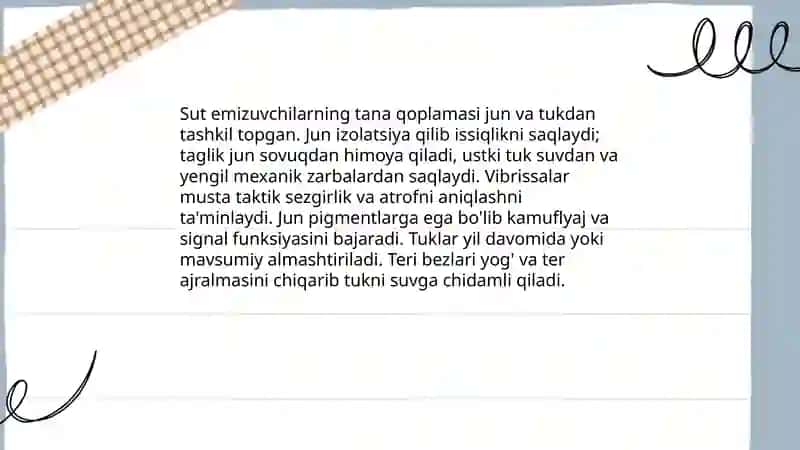So'rg'ichlilar sinfi 4
