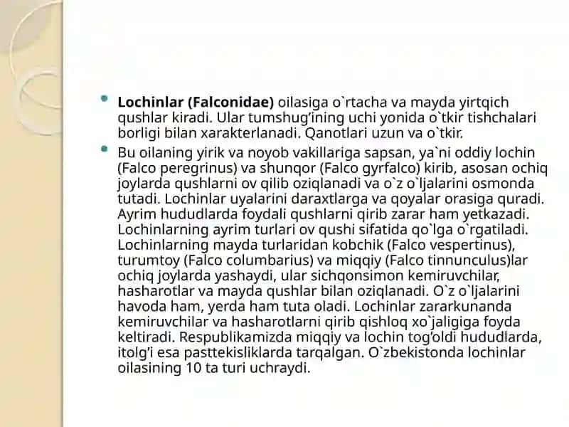 Qushlarsinfining O'zbekiston datarqalgan turlari (1-qism) 4