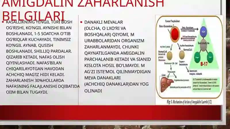 VAQTINCHA ZAHARLI BO‘LIB QOLGAN MAHSULOTLARDAN ZAHARLANISH 4
