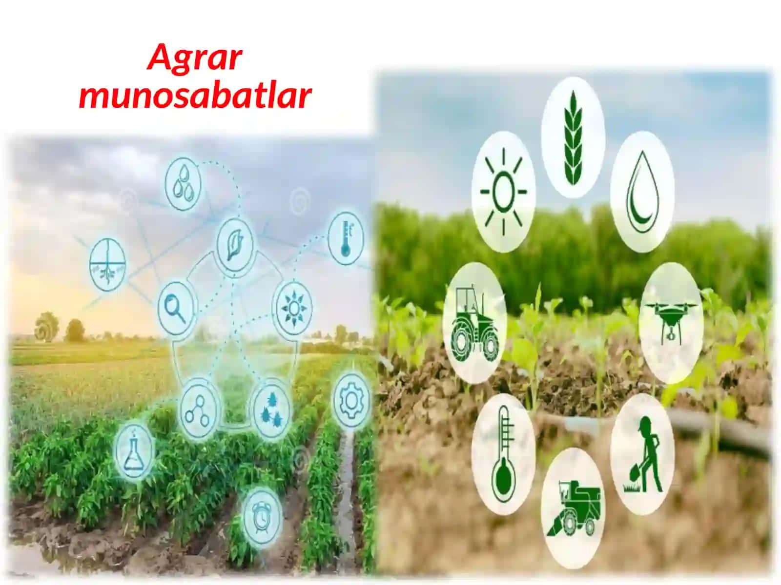 Agrar munosabatlar. 4