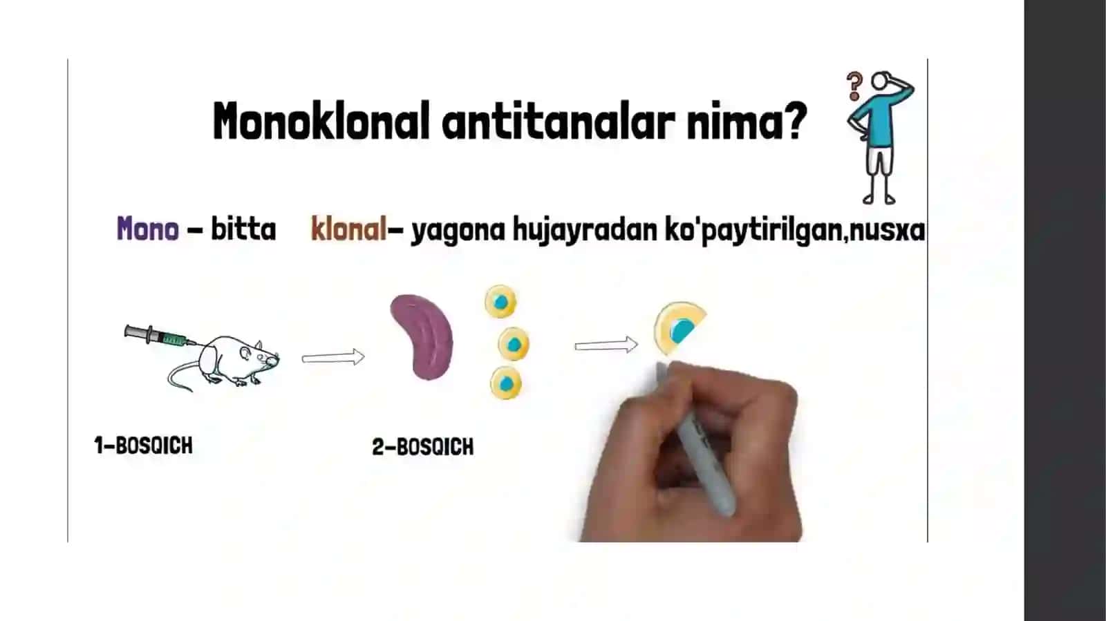 Tibbiyotda va tashxisda ishlatiladigan monoklonal antitanalar 4
