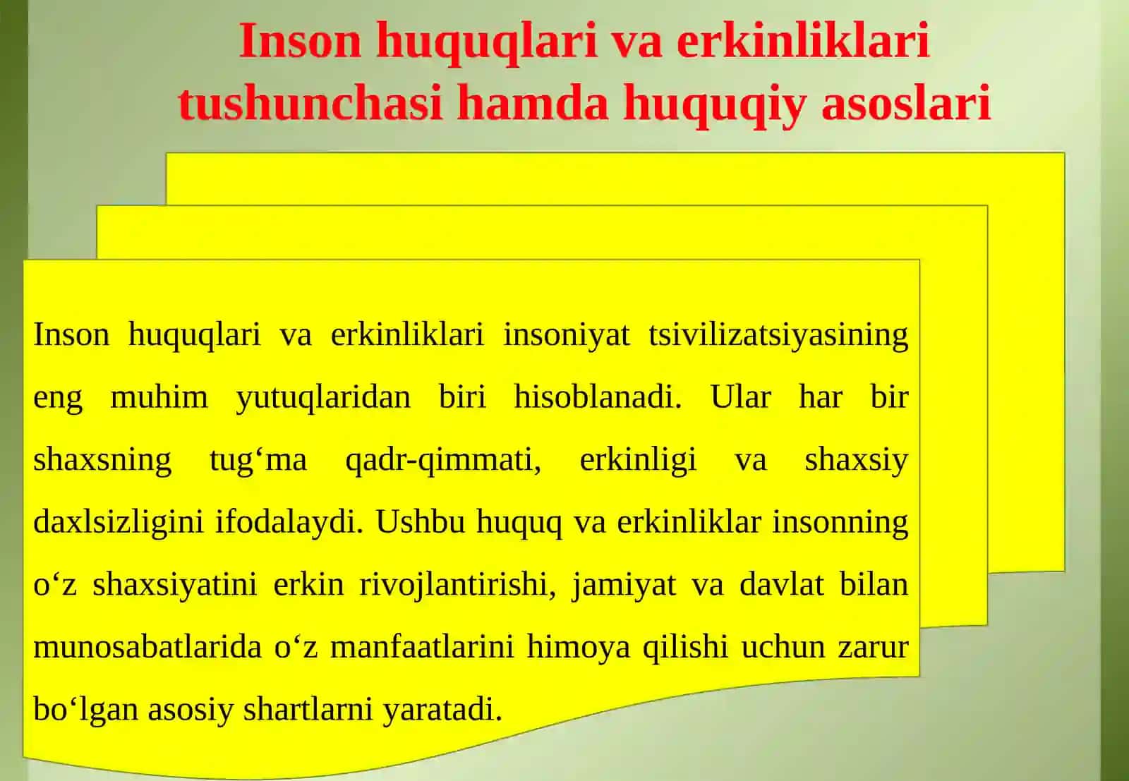 Inson huquqlari va erkinliklarining konstitutsiyaviy kafolatlari 4