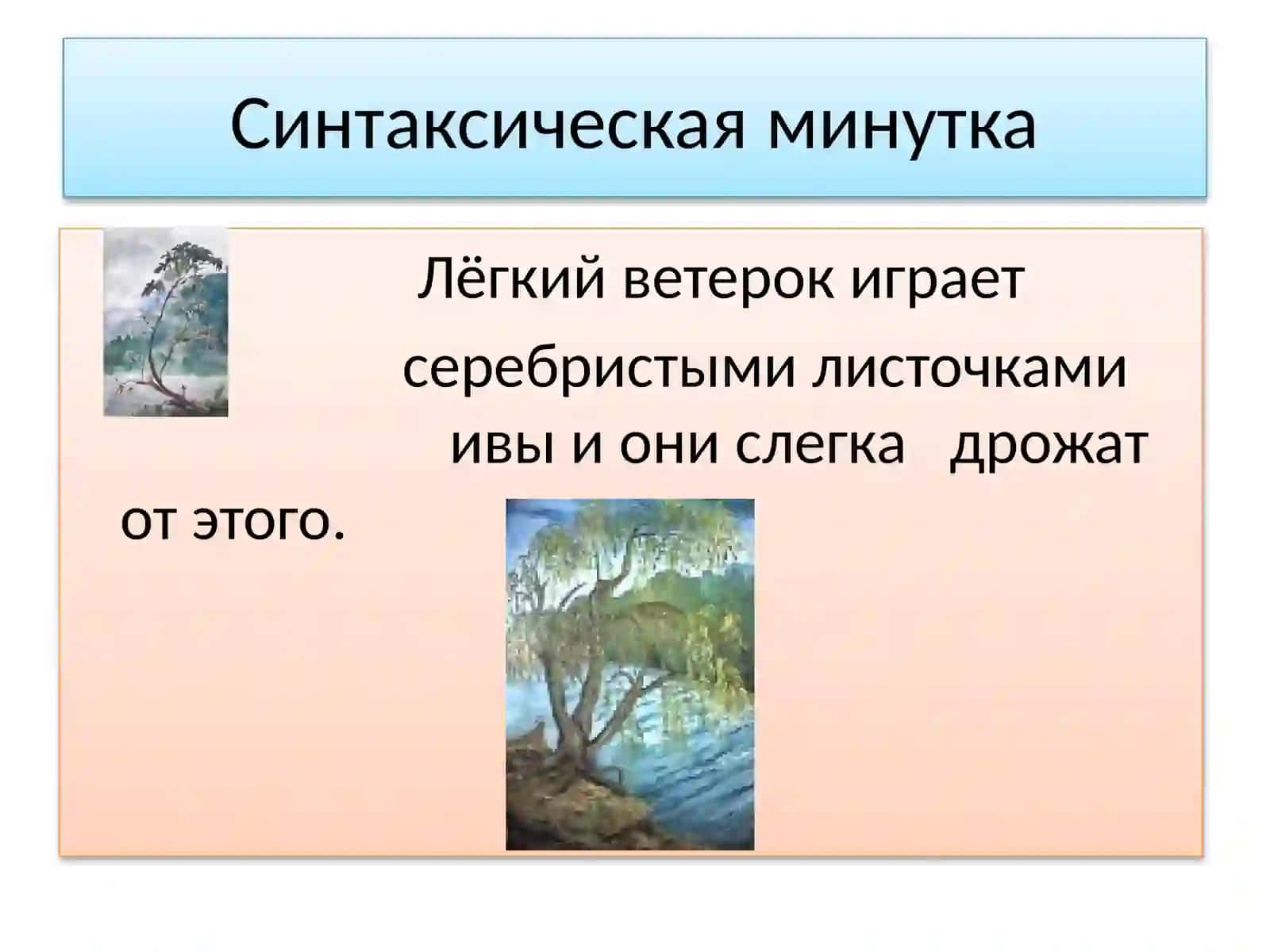 Чередование гласных и согласных в корне 4