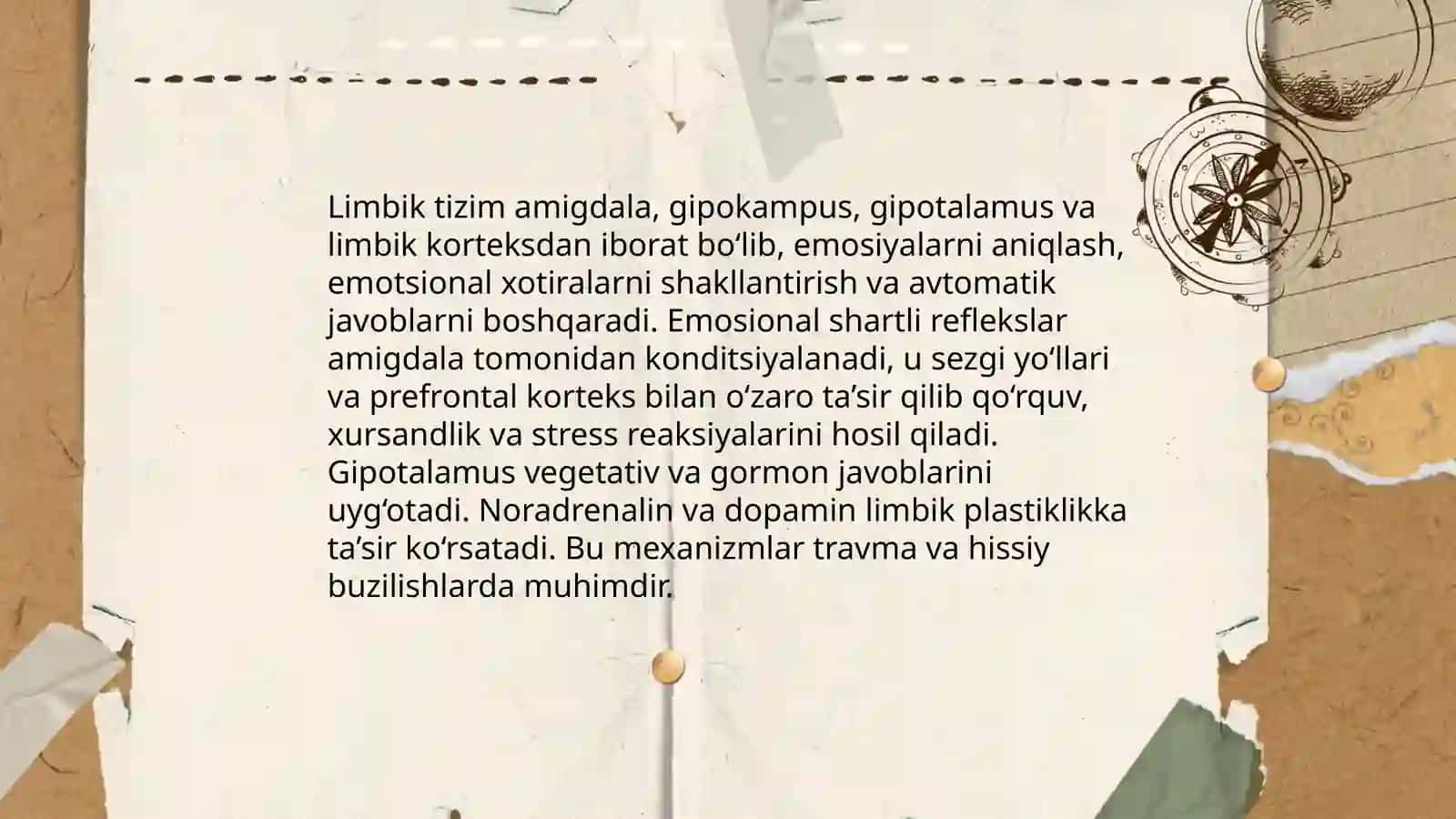 Asab tizimi oliy bolimlarning vazifalari shartli reflekslar 4