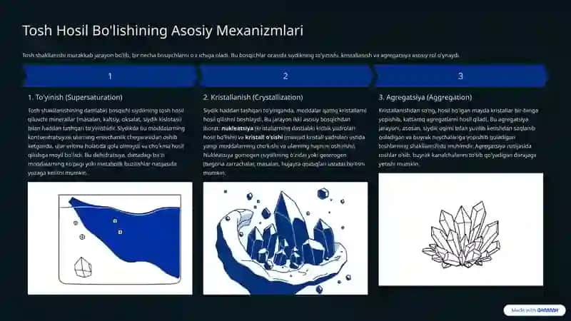 Organizmda Tosh Hosil Bo'lishining Kimyoviy Asoslari: Umumiy Tushuncha 4
