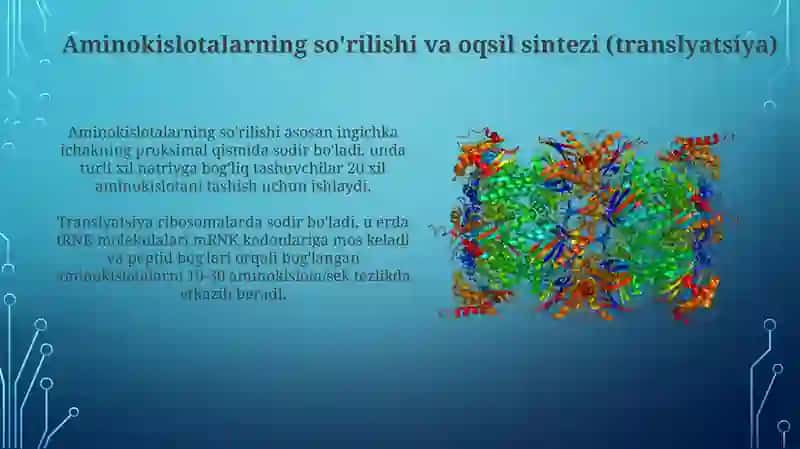 Odam organizmi daoqsilarning biokimyoviy ozgarishi 4