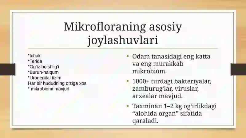 Mikroflora tushunchasi 4
