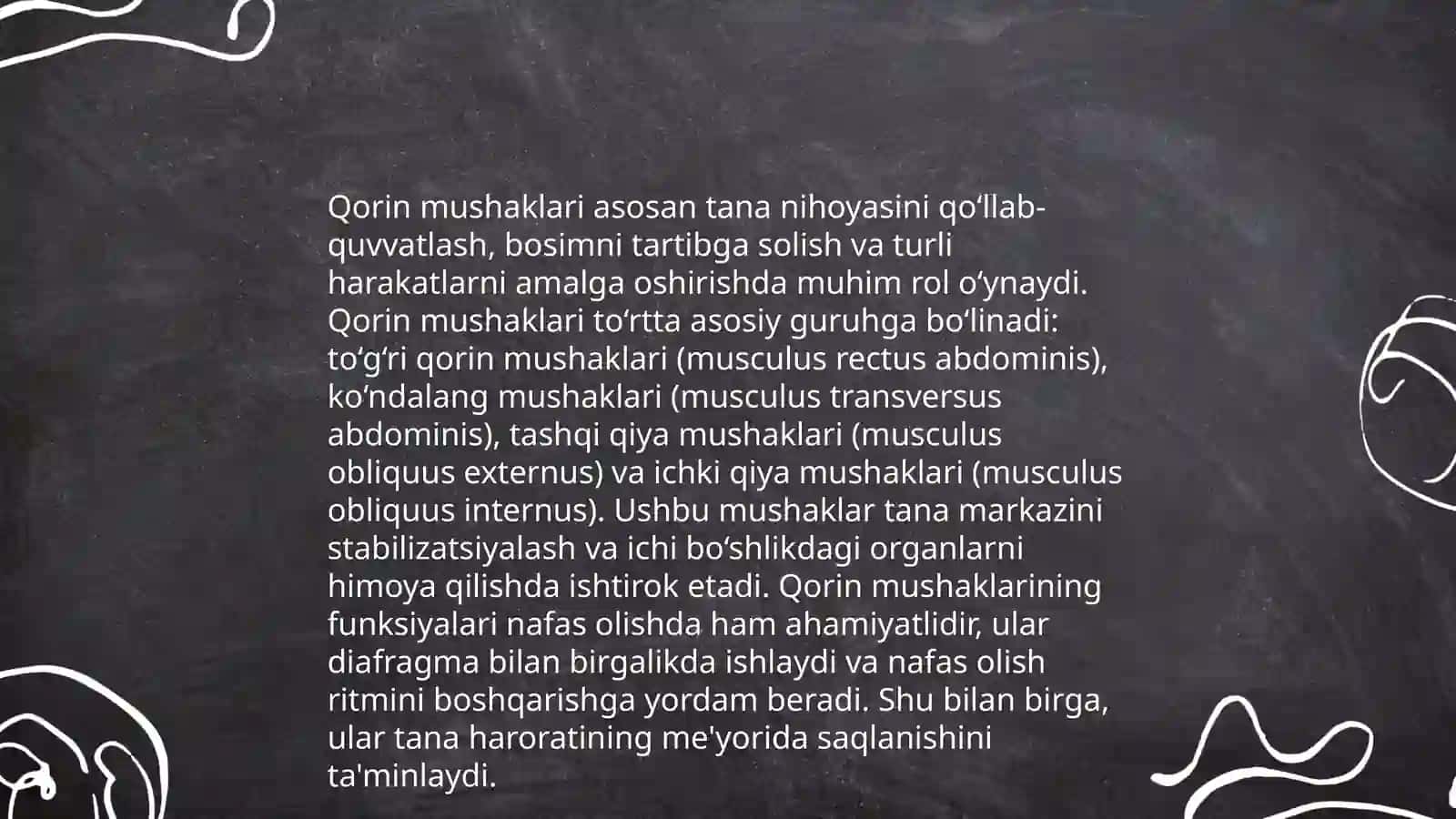 Mukullar haqida umumiy tushuncha. Qorin muskulari 4