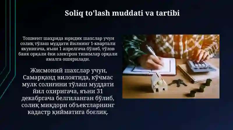 Mulk soligi 4