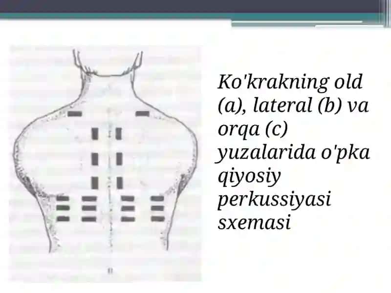 O’pkaperkussiyasi 4