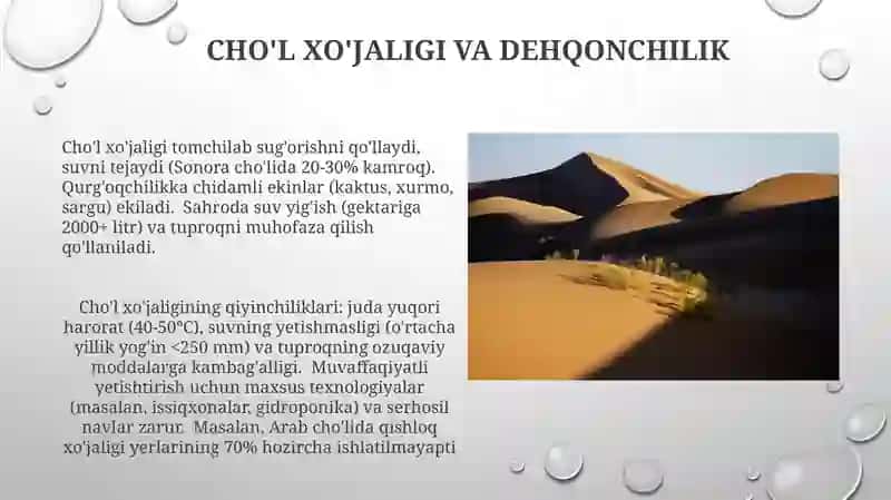 Suvdagi hayot 4