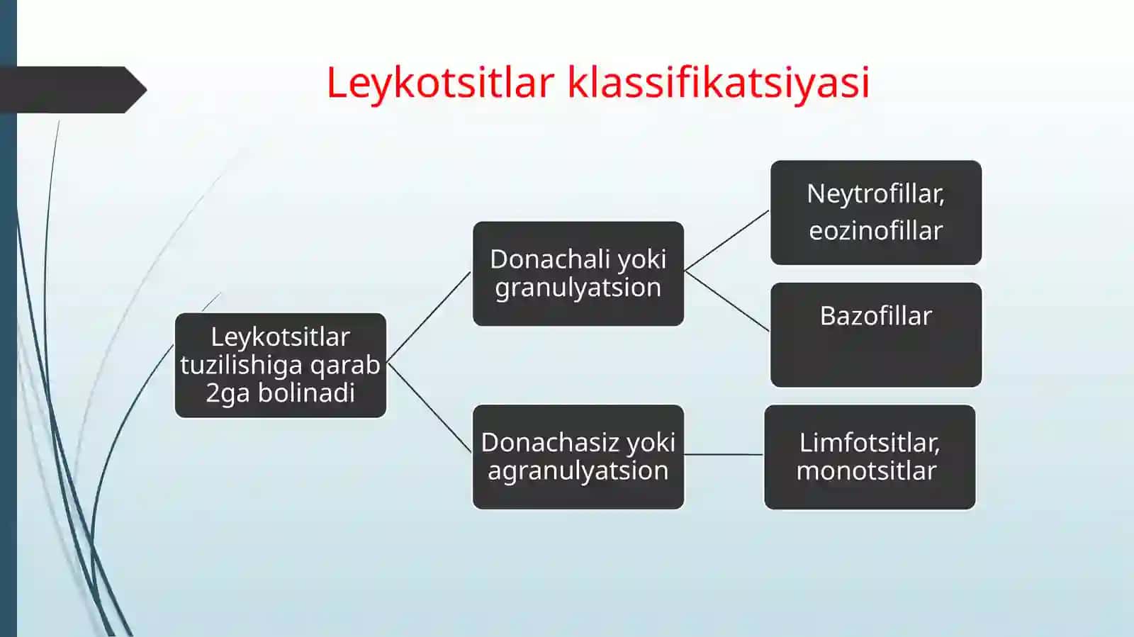 leykotstlar 4