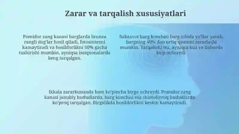Pomidor zang kanasi sabzavot g'ovaklovchi pashshasi 4