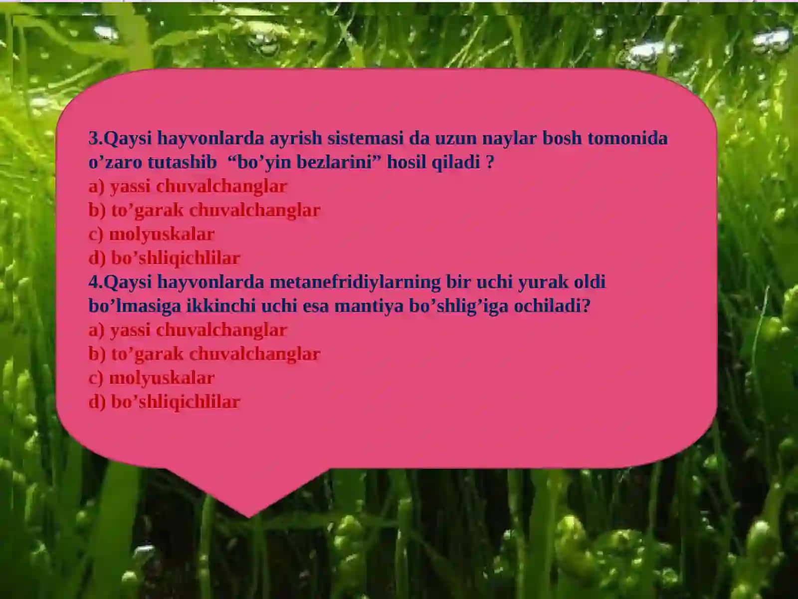 Hayvonlar jinsiy organlarining evolyutsiyasi 4