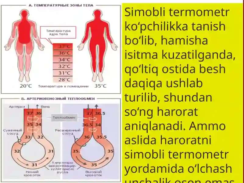 Temometrlar. Maksimal termometr yordamida inson tanasi haroratini o'lchashni o'rganish 4