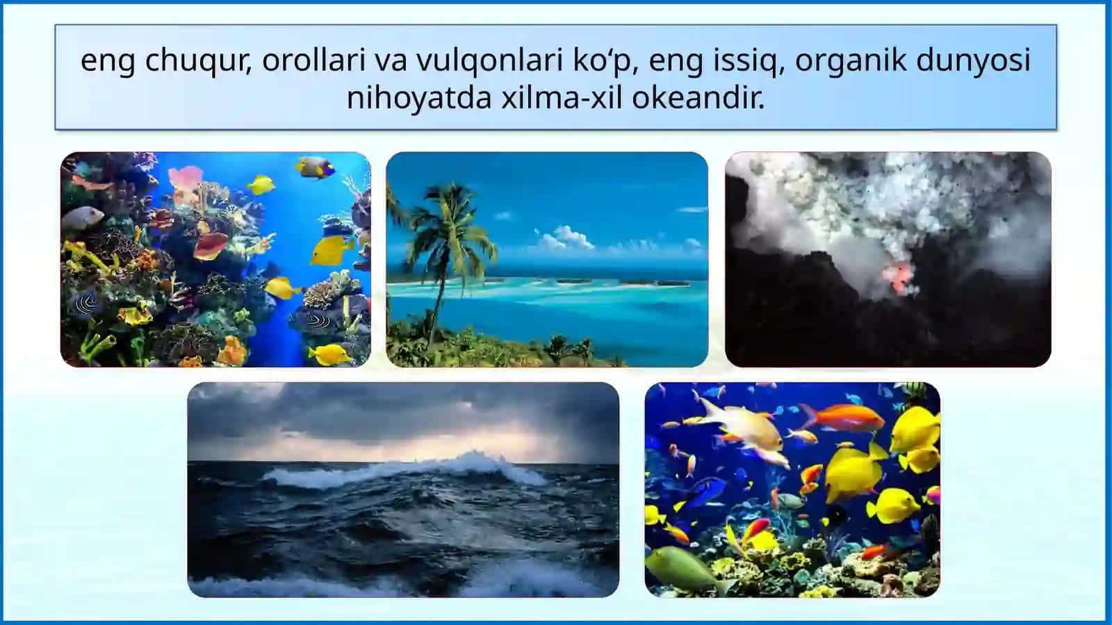 Tinch Okean 4