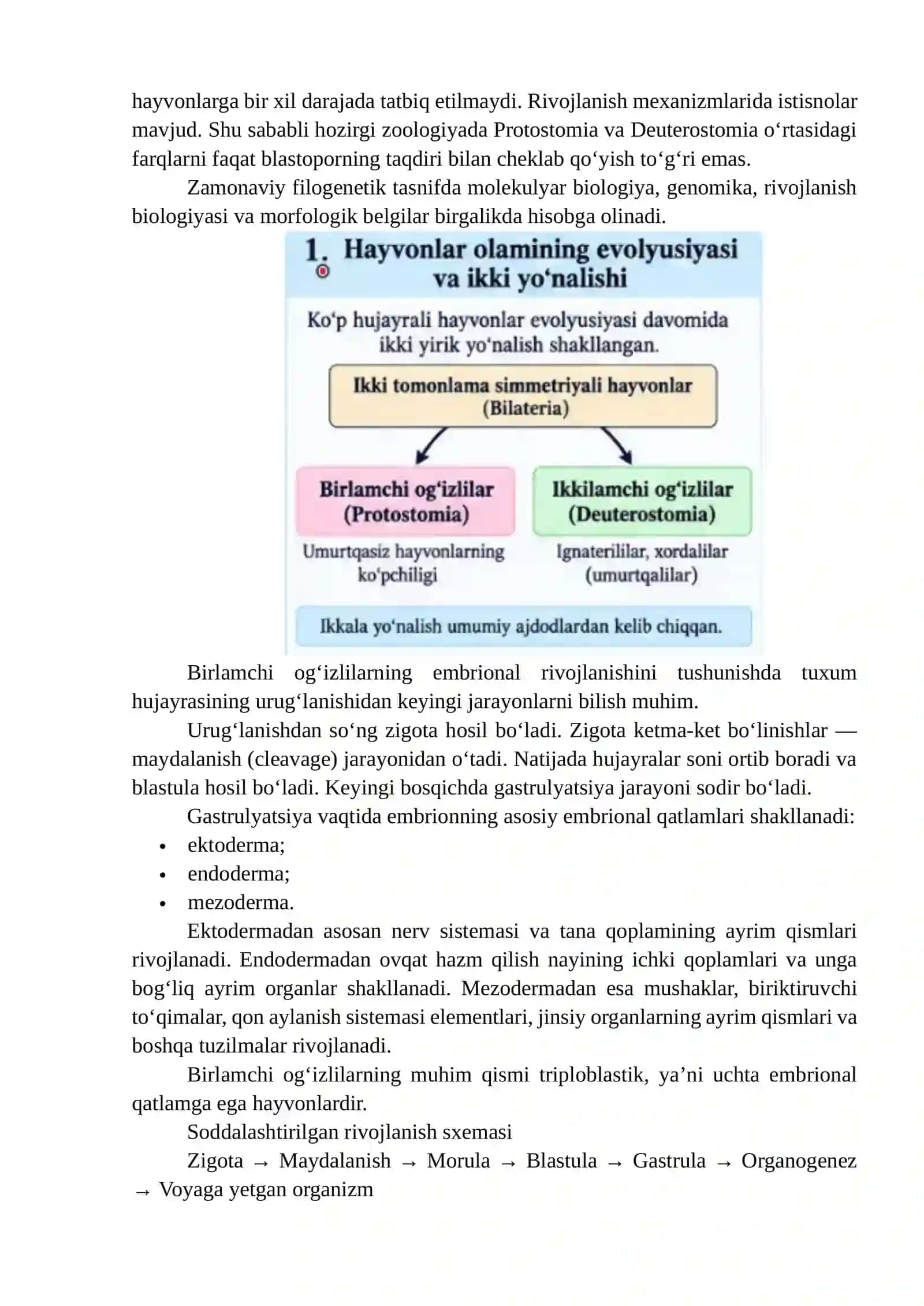 Birlamchi va ikkilamchi og‘izlilar – hayvonlar evolyusiyasining ikki yo‘nalishi 4