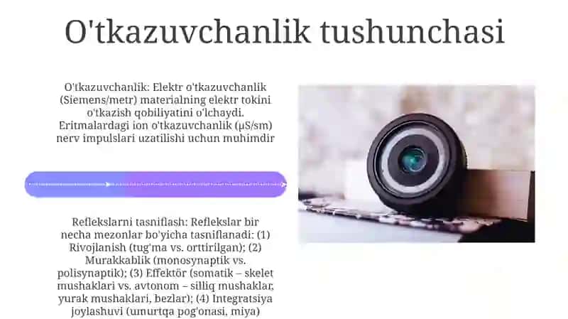 Reflekslarning joylashuvi va tasnifi 4