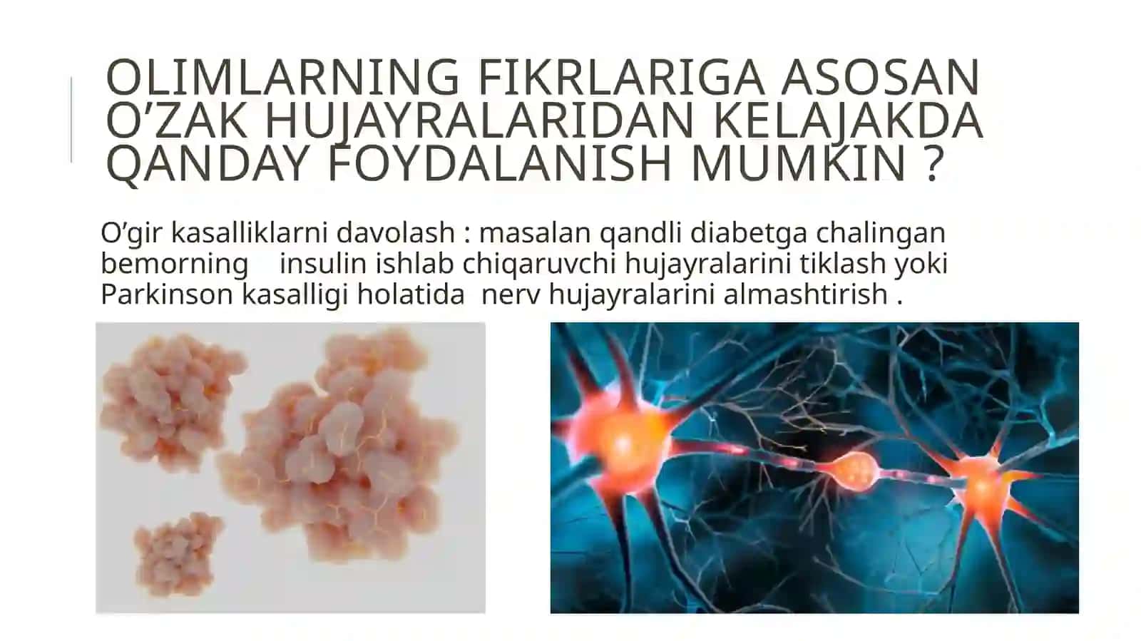 O'zak hujayralar haqida olimlarning fikri 4