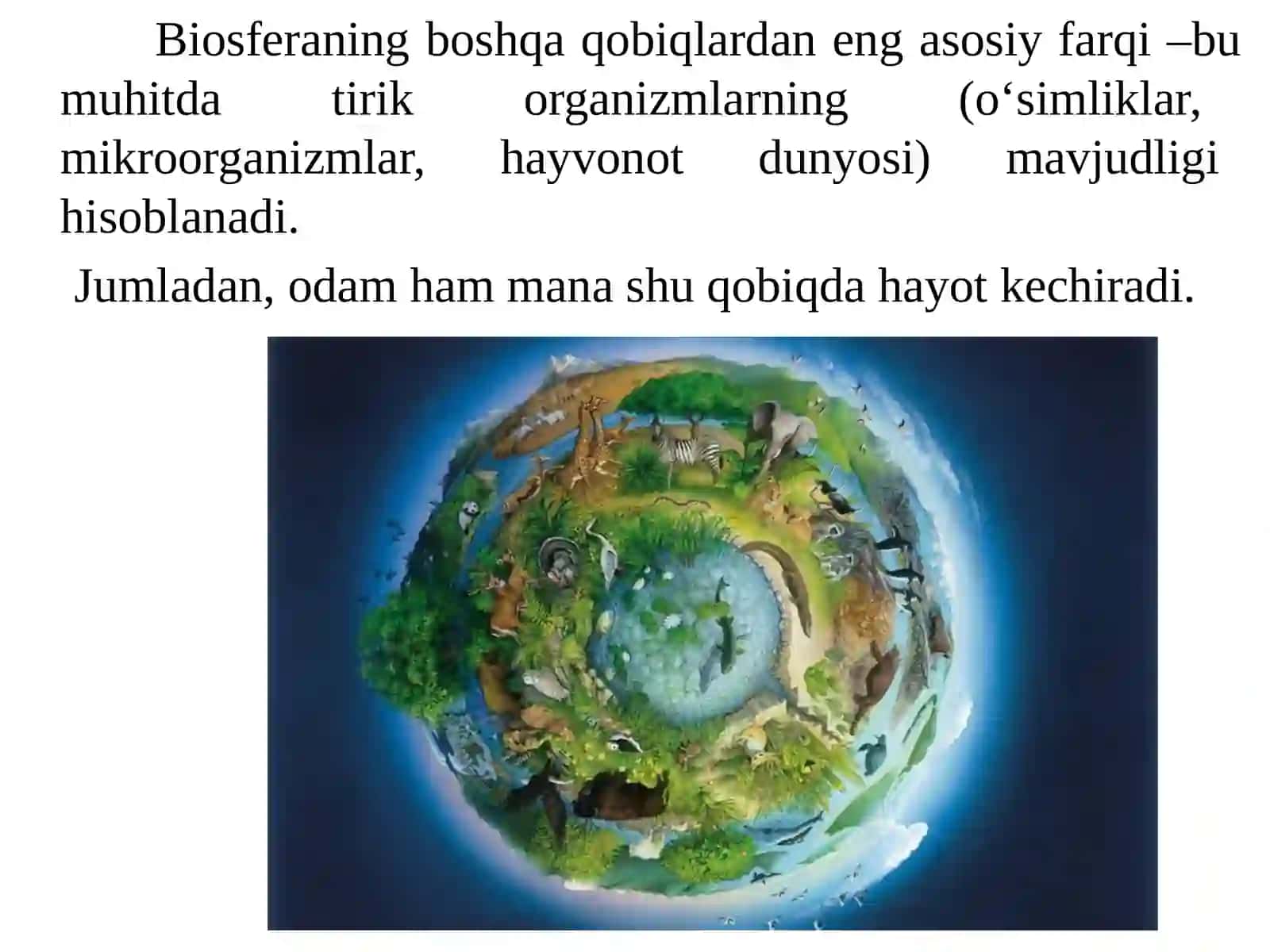 BIOSFERA 4