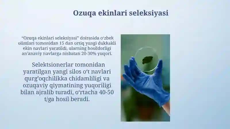 Oʻzbekiston olimlari tomonidan yaratilgan zamonaviy o'simlik navlari 4