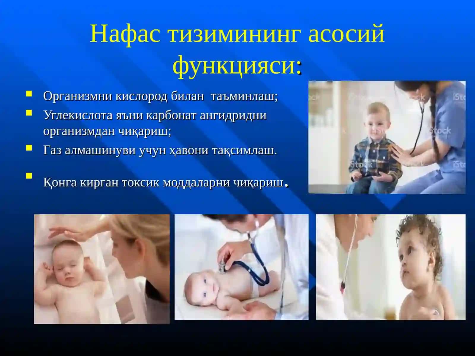 Нафас тизими анатомияси ва физиологияси 4