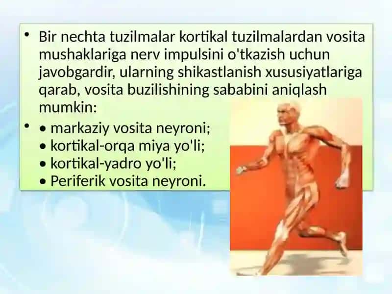FAOLIYAT VA IXTIYORIY HARAKATLARNING BUZILISHI. APRAKSIYA MUAMMOSI 4