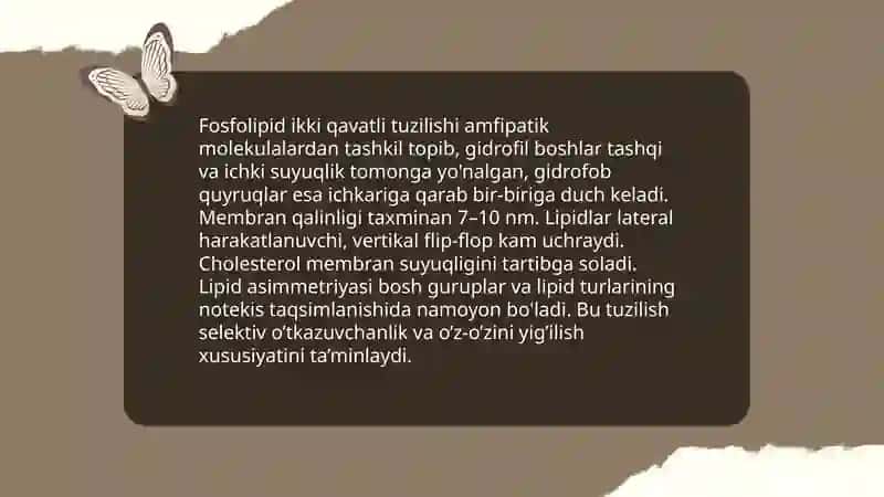 Eukariot hujayralari.Hujayra membranasi uning nozik tuzulishi va hujayraga moddalarning kirishi 4