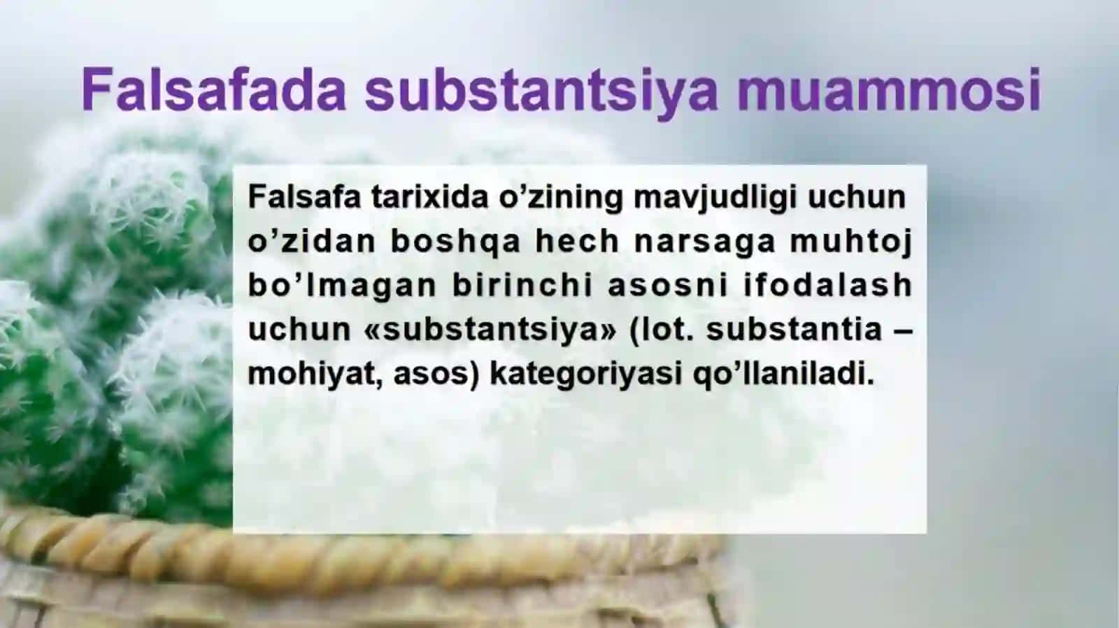 Borliq falsafasining predmeti 4