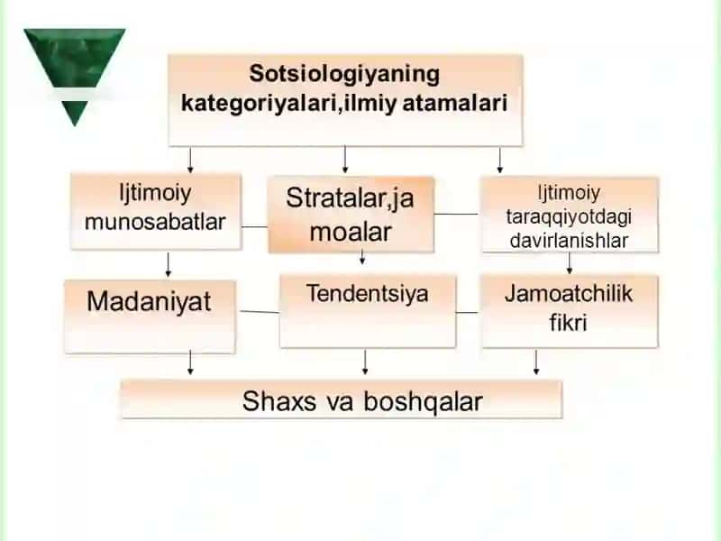 Sotsial Maqom va Ijtimoiy Tengsizlik 4