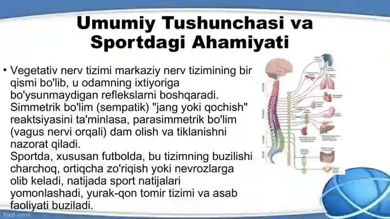 Tanlangan sport turida vegetativ nerv tizimining funksional sinamalarini oʻtkazish 4