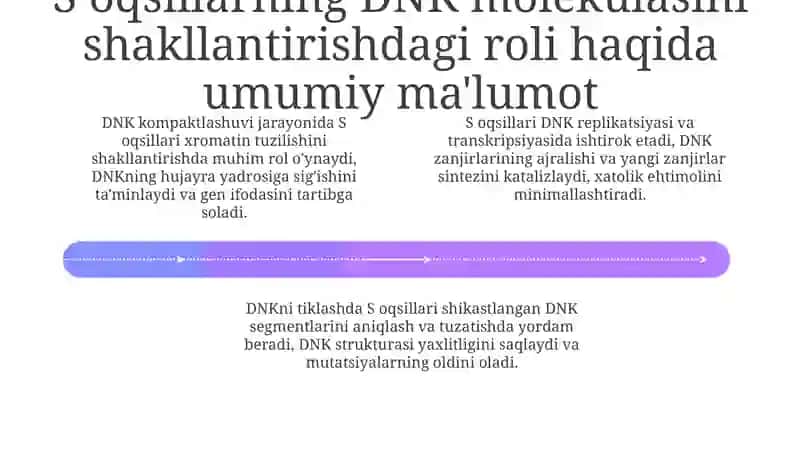 DNK molekulasining hosil bo'lishida S oqsillarning o'rni 4
