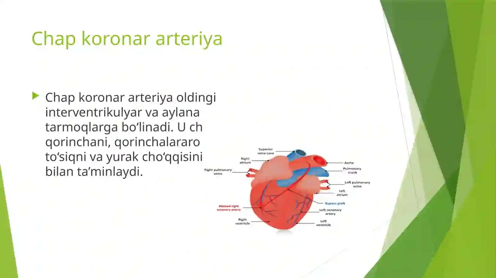 Koronartomirlardaqonaylanishi 4